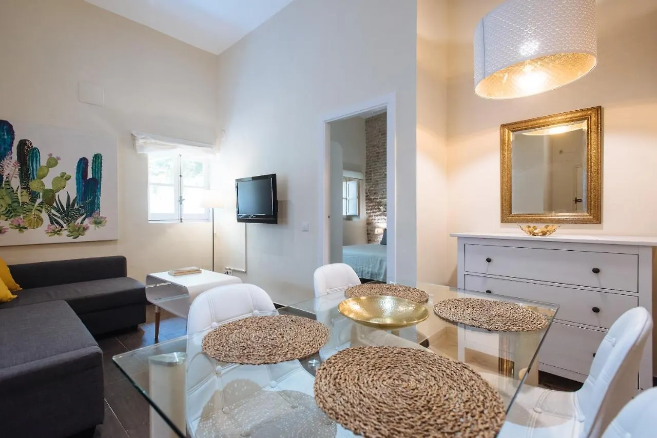 Cozy Apartment In House-Palace With Private Patio Seville